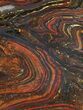 Polished Tiger Iron Stromatolite - ( Billion Years) #50734-1
